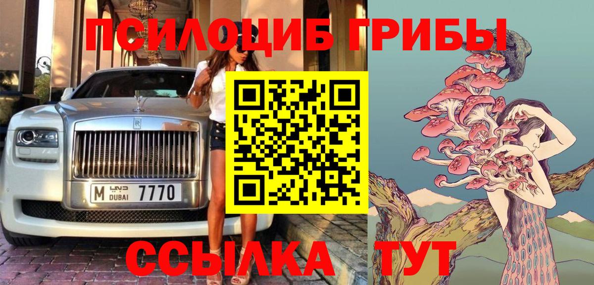 Омск  Галлюциногенные грибы мицелий  Вход с VPN 